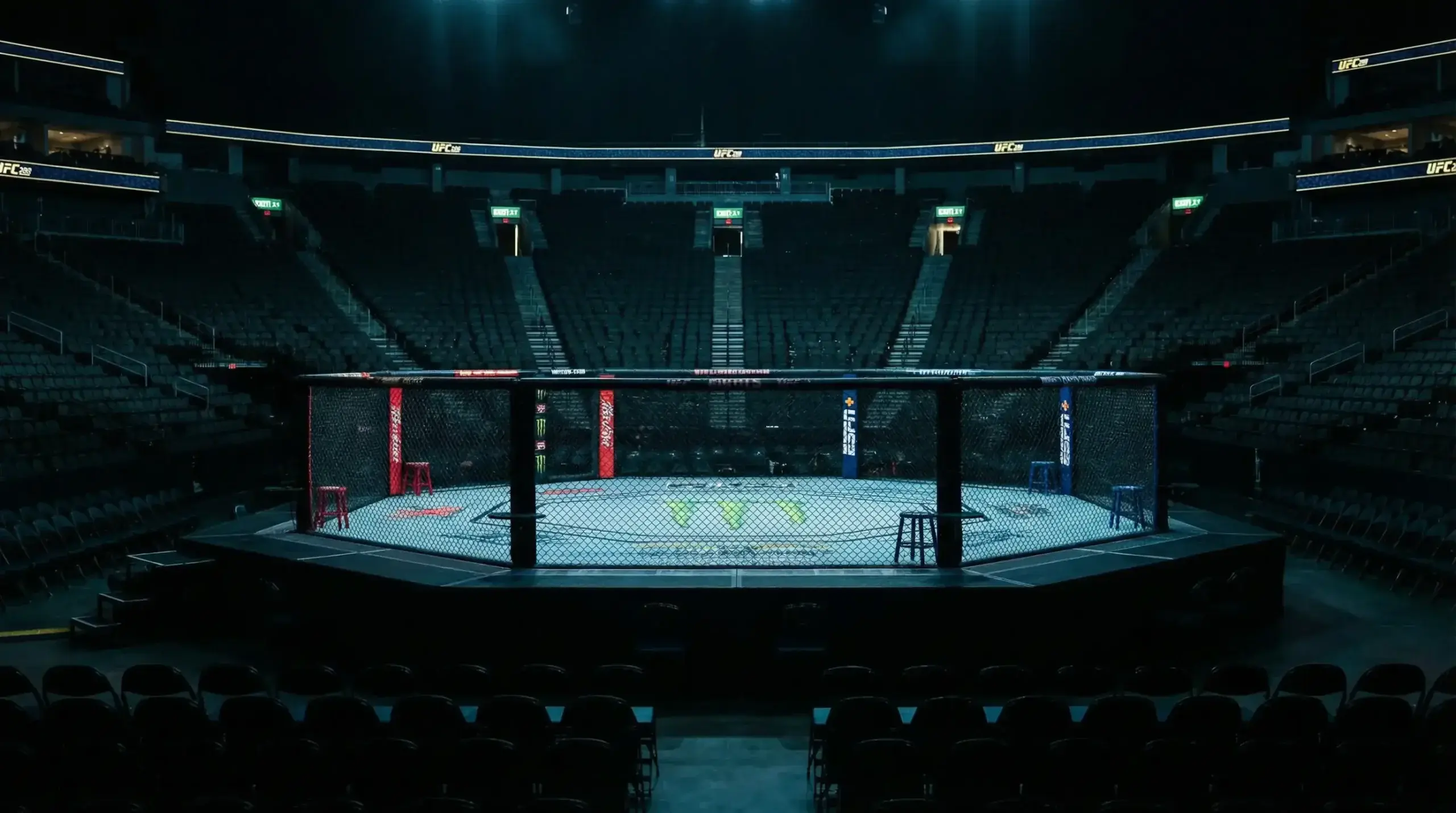 Octogone UFC vide avec panneau annulation de combat